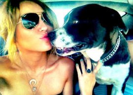 Bapho! Miley Cyrus apelida cachorrinha e faz referência às drogas :O
