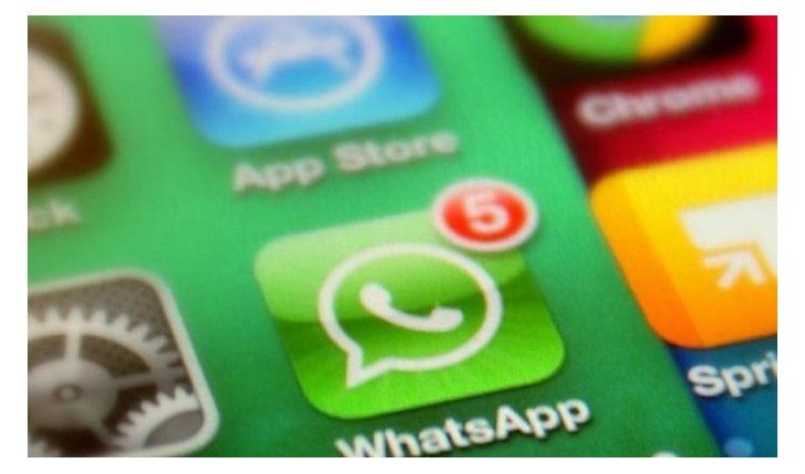 Tudo sobre o WhatsApp: entenda TODOS os detalhes do aplicativo!