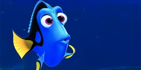 procurando dory