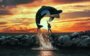 Filmes sobre amizade: Free Willy