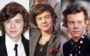 estilo de harry styles