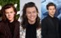 estilo de harry styles
