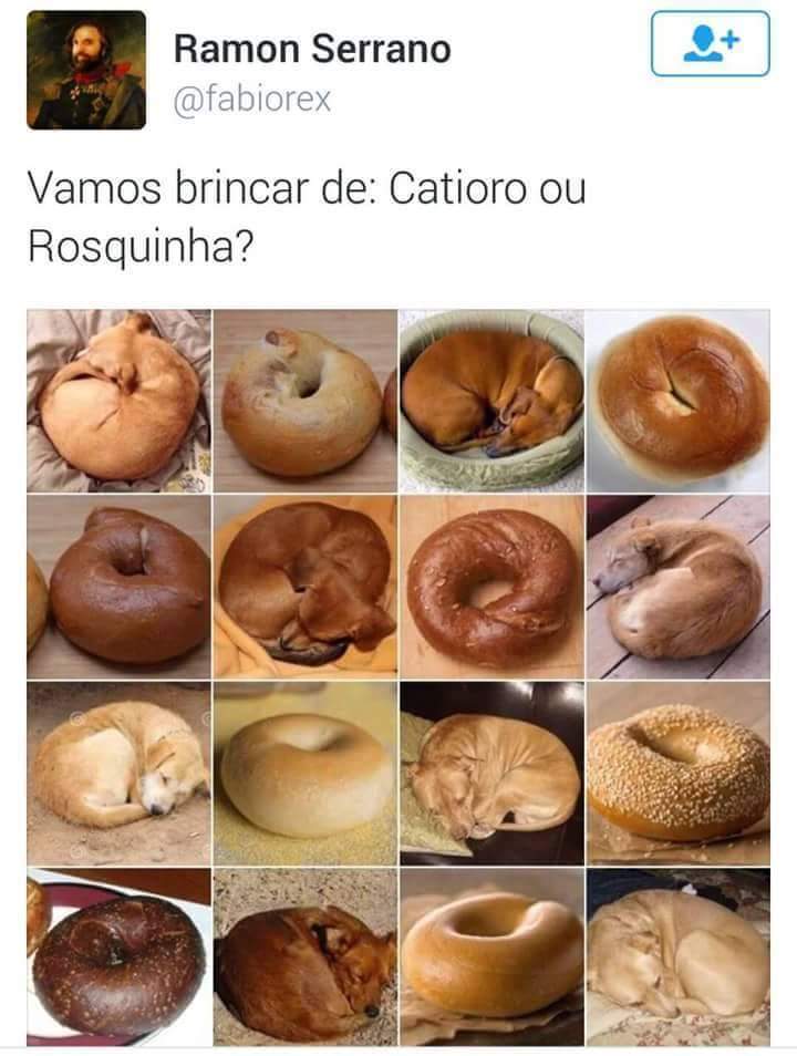 catioro ou rosquinha
