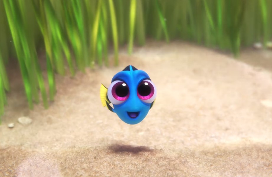 Dory pequena