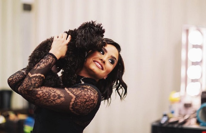 5 famosas que adoram tirar selfie com seus pets