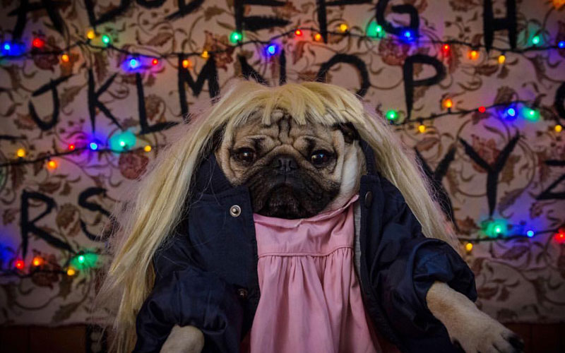 doug the pug como stranger things
