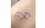 24 ideias de tatuagens delicadas para se inspirar
