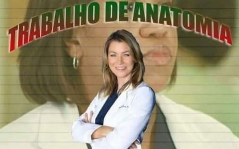 trabalho abnt greys anatomy