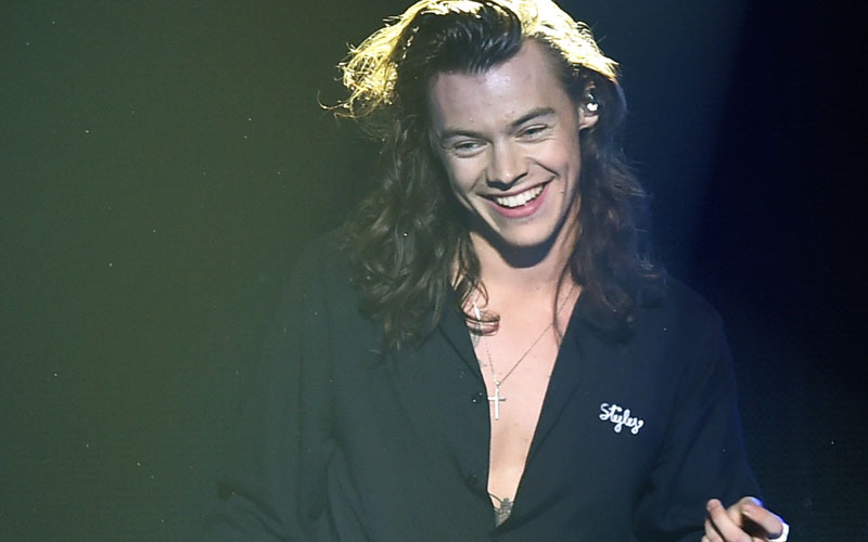 harry styles sorrindo em um show