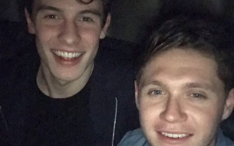 niall horan e shawn mendes em selfie