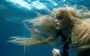 Filmes de sereísmo: Madson, a Sereia
