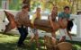 Filmes de sereísmo: Mako Mermaids
