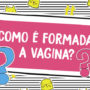 Como é formada a vagina?