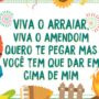 cartão com balões juninos dizendo "viva o arraiar, viva o amendoim, quero te pegar, mas você tem que dar em cima de mim"