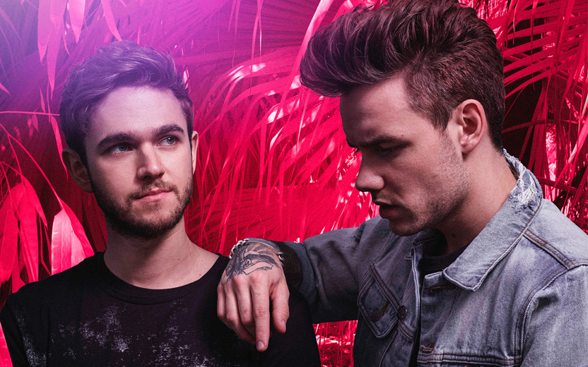 Liam Payne de lado, usando camisa jeans e se apoiando em Zedd, que usa camiseta preta. Fundo de folhagens rosa