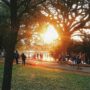 parque-ibirapuera-são paulo-férias de julho