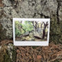 Férias TDB: 20 fotos Instax de paisagens e lugares incríveis