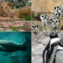 zoológico-aquário-férias de julho