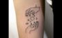 tatuagem de cada signo