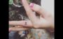 tatuagem de cada signo