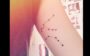 tatuagem de cada signo