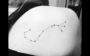tatuagem de cada signo