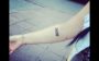 tatuagem de cada signo