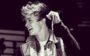 The vamps