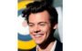harry styles