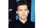 harry styles