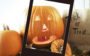 Curiosidades sobre o Halloween!