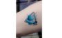 tatuagem aquarela