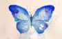 tatuagem aquarela