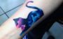 tatuagem aquarela