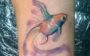 tatuagem aquarela