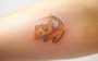tatuagem aquarela