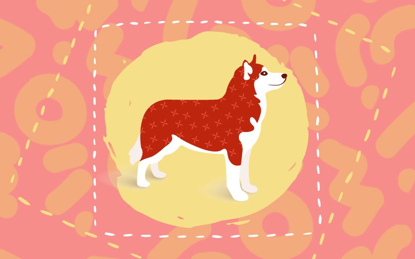 Veja as previsões do Horóscopo Chinês em 2018, o ano do Cachorro
