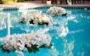 pool party