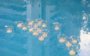 pool party