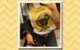14 looks da Mari Palma com t-shirts divertidas: pura inspiração!