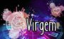 Previsões no amor para cada signo