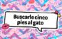 expressão em inglês