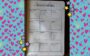 Dicas para organizar o planner