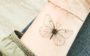 tatuagem de borboleta