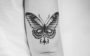 tatuagem de borboleta