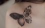 tatuagem de borboleta
