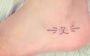 tatuagem de pets