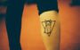 tatuagem de pets