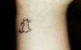 tatuagem de pets