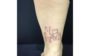 tatuagem de pets
